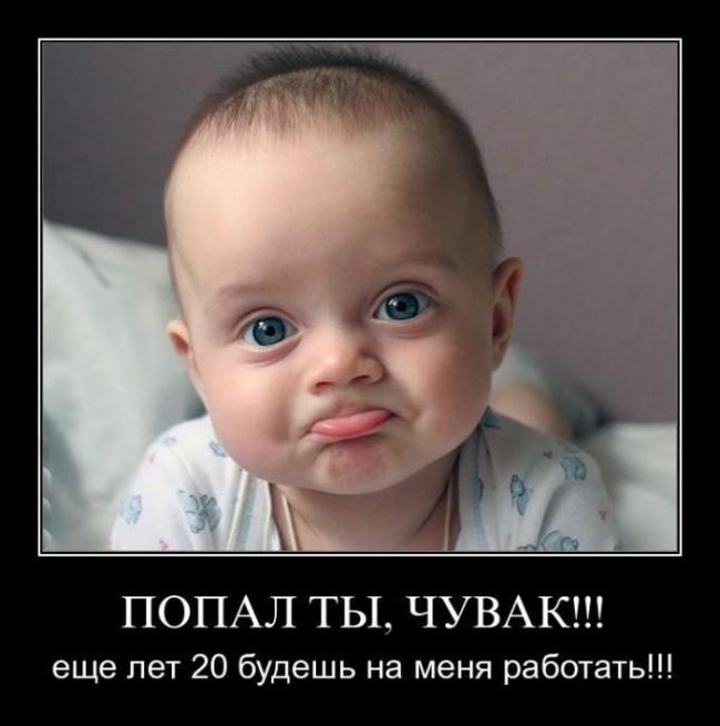 http://mtdata.ru/u24/photoFFD7/20819449517-0/original.jpg#20819449517
