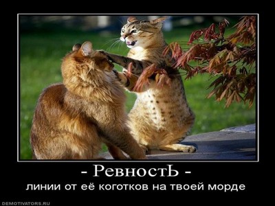 Ревность - это очень плохое чувство...