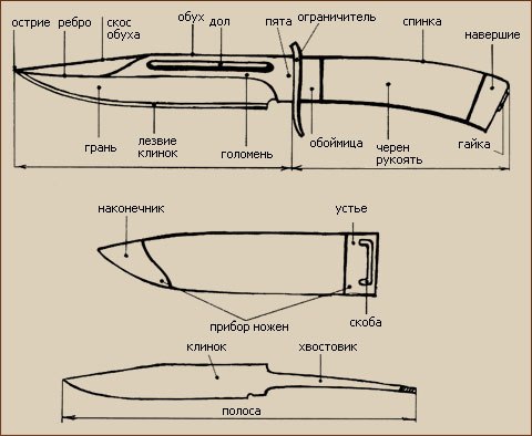 Подробное описание строения ножа желобок, называемый Подробное описание строения ножа желобок, называемый