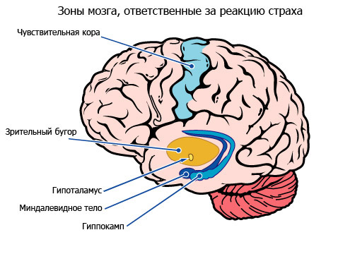 [Изображение: original.jpg]