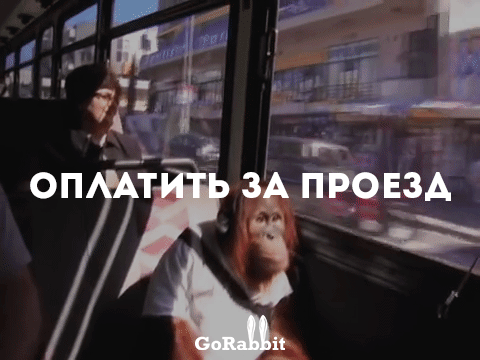 Лютый русский язык: более лучшая подборка ошибок Лютый русский язык: более лучшая подборка ошибок