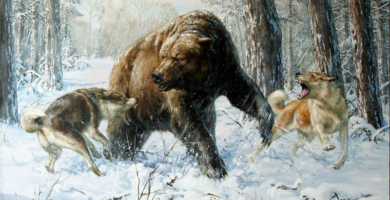 Хотой, бабагай и синие глаза Хотой, бабагай и синие глаза