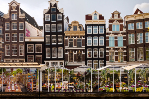 Что посмотреть в Амстердаме за 1 день