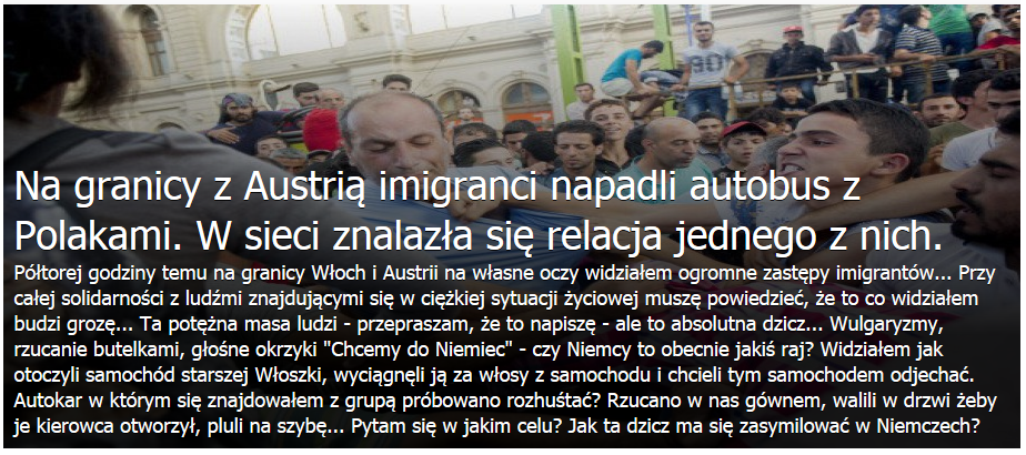 Польский турист: «я видел огромные полчища мигрантов»