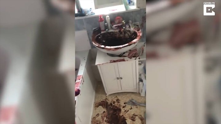Фото: скриншот видео Фото: скриншот видео