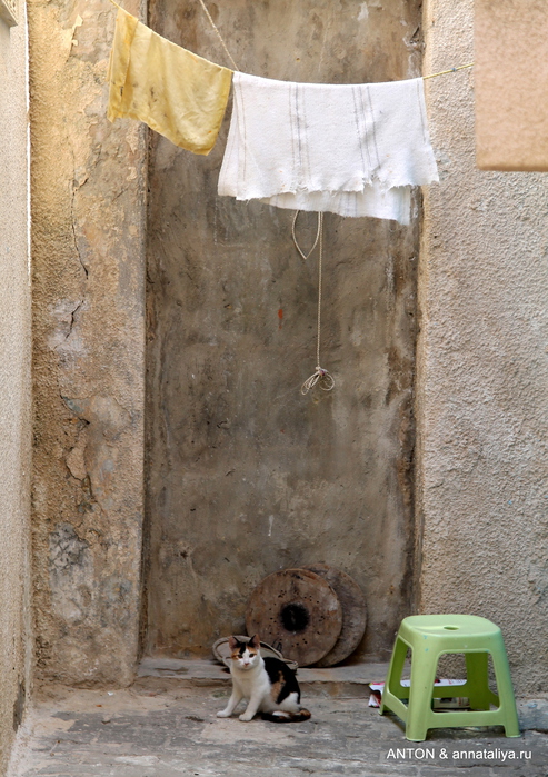 IMG_0655 (493x700, 258Kb)