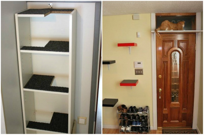 полки для кота