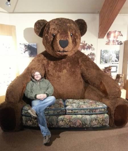 a98800_couch_6-teddy-bear
