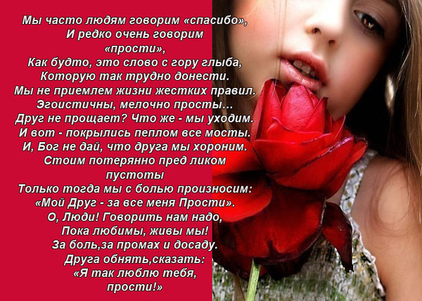 Трогательный стих прости Трогательный стих прости