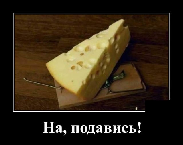 Демотиваторы Демотиваторы