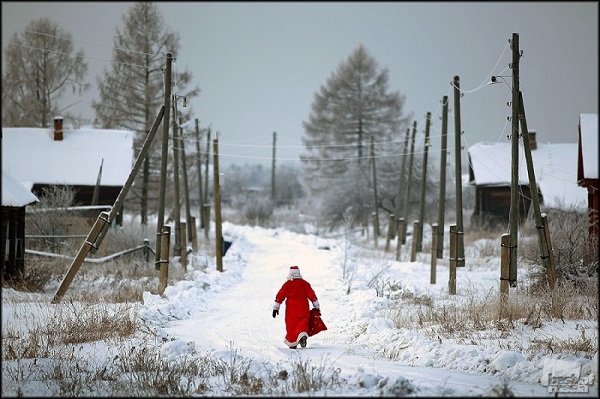 Лучшие фотографии России за 2011 год Лучшие фотографии России за 2011 год