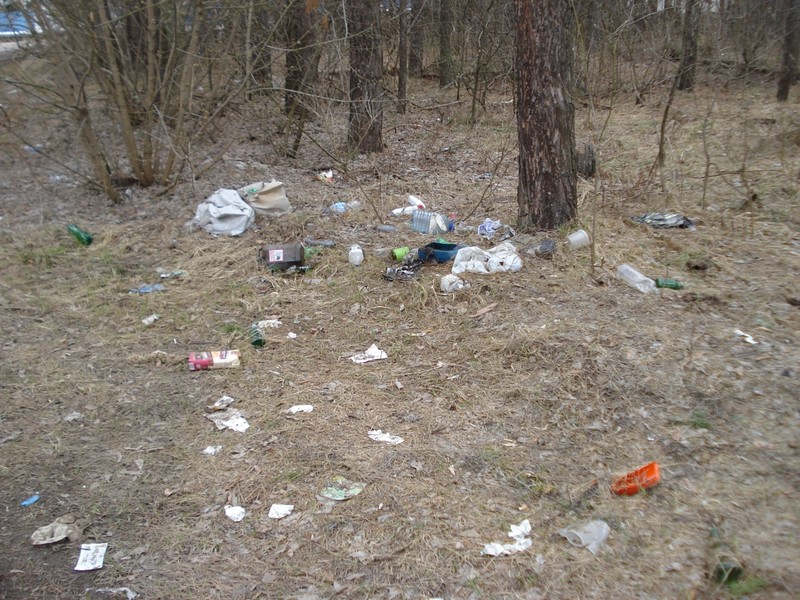 Посадил 500 желудей, но лучше не сажал бы Посадил 500 желудей, но лучше не сажал бы