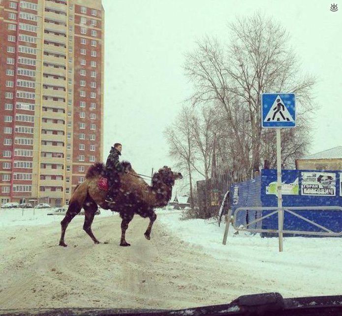 Фотографические прикольности 20