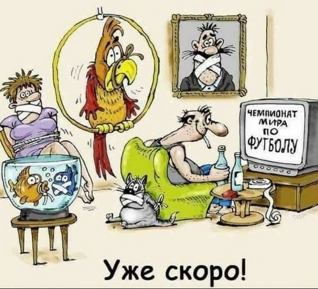 Василиса Прекрасная была приятно удивлена, когда узнала... Василиса Прекрасная была приятно удивлена, когда узнала...