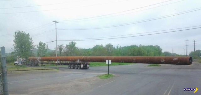 Гуру перевозок Гуру перевозок