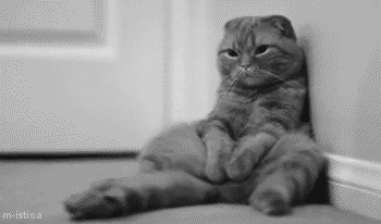 20 котов, постигших дзен