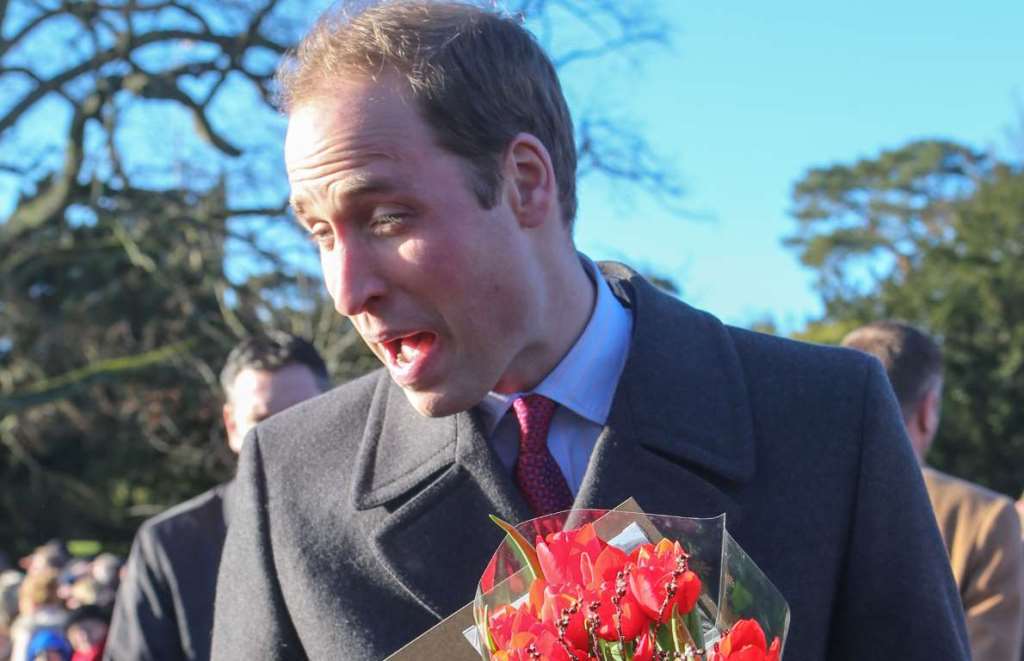 Забавные фотографии королевской семьи-17