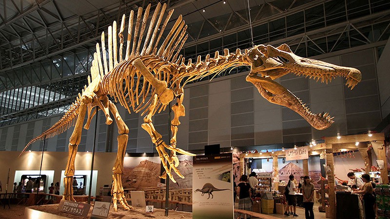 ExtinctCreatures14 Слава богу, они вымерли! 25 ужасных тварей, которые когда то населяли Землю