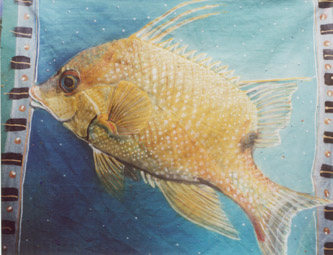 hogfish (333x255, 36Kb)