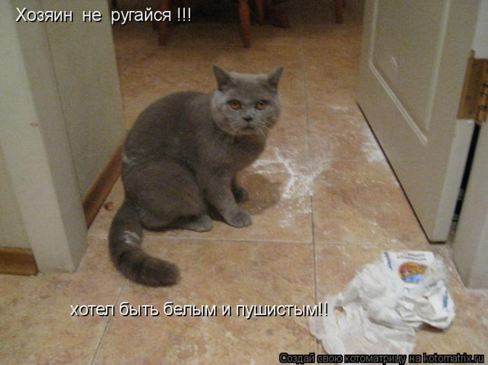 Русская Грязно Ругается Русская Грязно Ругается