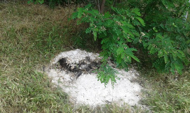 В Севастополе уже месяц лежит труп, присыпанный «мукой». Так будет с каждым? (фото)
