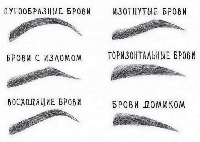 Типы бровей. Типы бровей.