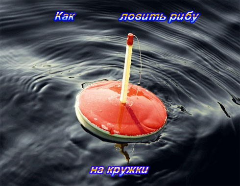 все о ловле рыбы на кружки все о ловле рыбы на кружки