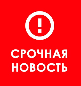 По распоряжению губернатора Севастополя приостановлены строительные работы в бухте Ласпи