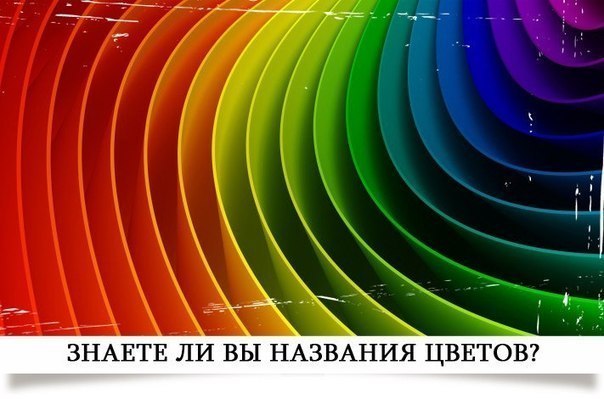 Знаете ли вы названия цветов?