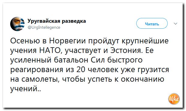 Соц.сети жгут напалмом! Злобные (сарказм) комментарии о последних событиях в мире Соц.сети жгут напалмом! Злобные (сарказм) комментарии о последних событиях в мире