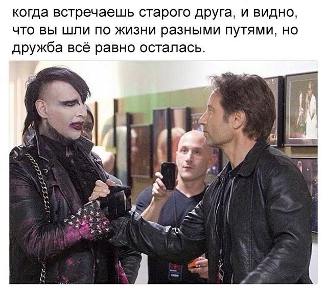 Дружба Дружба