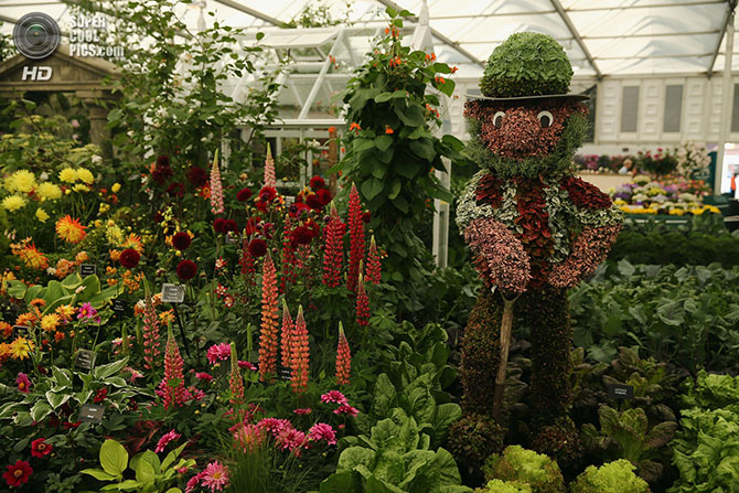 Выставка цветов и ландшафтного дизайна Chelsea Flower Show 2014