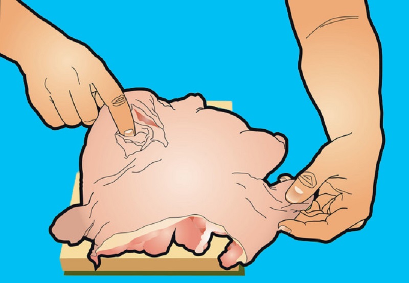 удаление костей куриной тушки