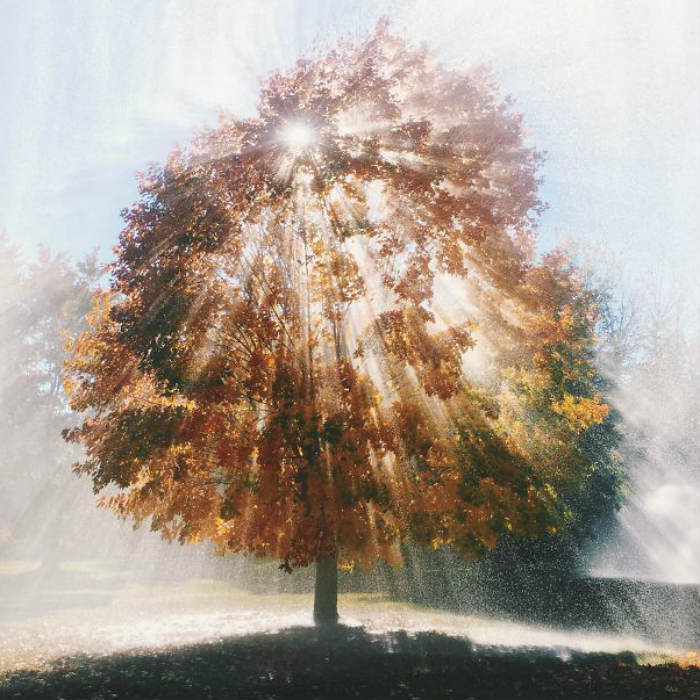 30+ фотографий, на которые Вам придется посмотреть как минимум дважды 30+ фотографий, на которые Вам придется посмотреть как минимум дважды