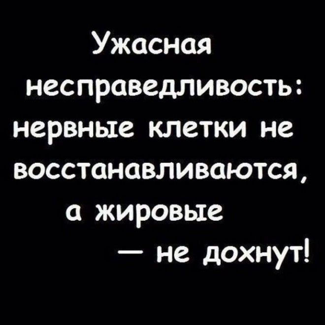 S10 уморительных историй для отличного настроения