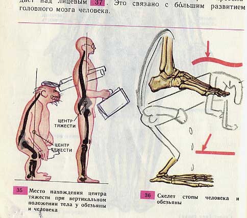 Рисунки в учебниках. Часть 2 Рисунки в учебниках, школа