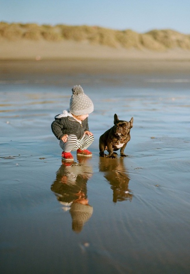 Наслаждаются днем на пляже дружба, ребенок, собака