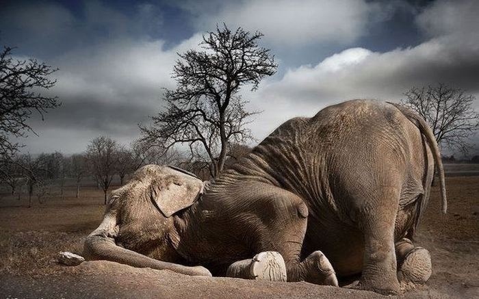 ��� ���� �������� �������, ������� ����, ����