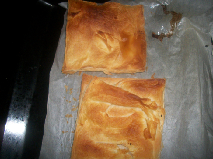 �������� � ����� 027 (700x525, 425Kb)