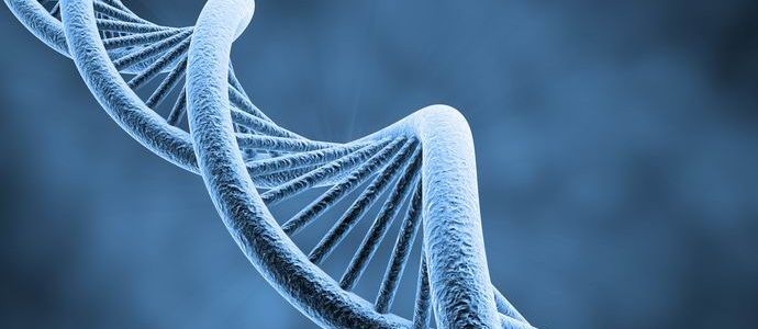 В человеческом геноме нашли чужеродную ДНК