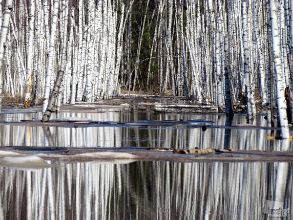 Лучшие фотографии России за 2011 год Лучшие фотографии России за 2011 год