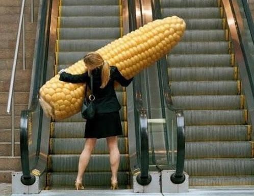5. Женщина, пытающаяся впихнуть кукурузу на эскалатор прикол, странности, фото