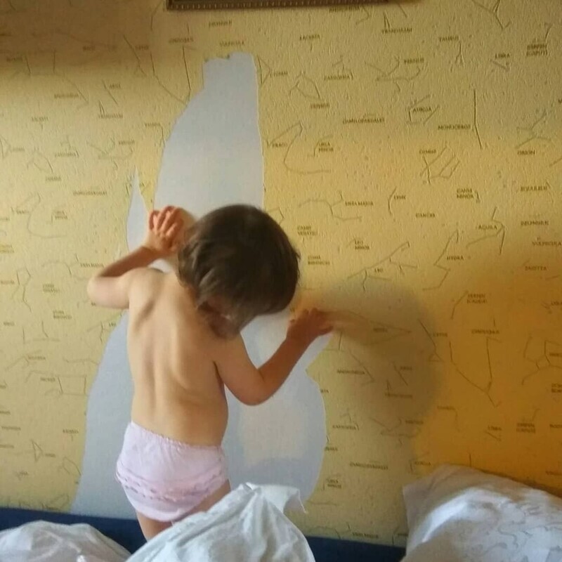 Намек на ремонт Если в доме тишина, запасайтесь валерьянкой
(15 фото)
