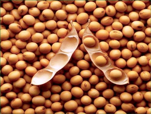 Топ-25: Продукты питания, которые лучше не есть перед свиданием Продукты питания, которые лучше не есть перед свиданием