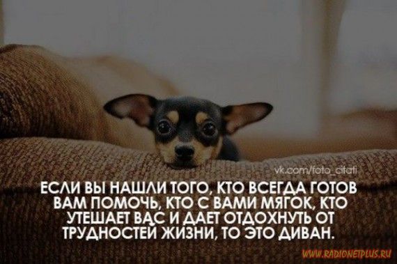 Слова, цитаты, юмор и просто советы в картинках Слова, цитаты, юмор и просто советы в картинках