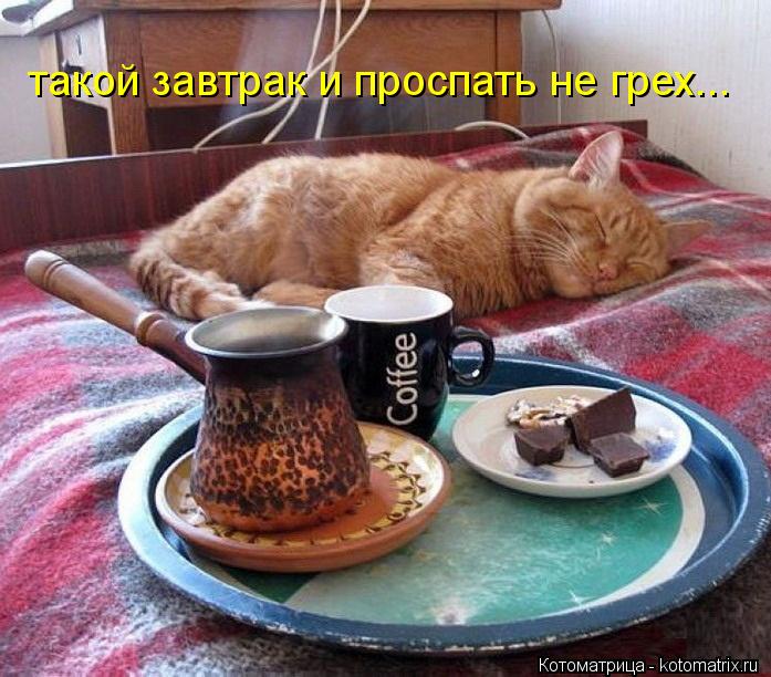 Возможно все (котоматрица)