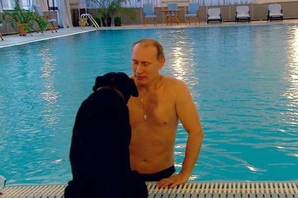 Путин жил. Путин жив! Путин будет жить? Путин жил. Путин жив! Путин будет жить?