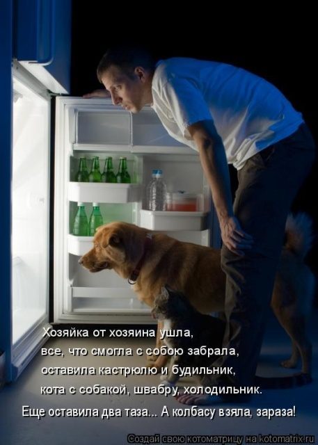 Самые смешные котоматрицы для хорошего настроения) Самые смешные котоматрицы для хорошего настроения)