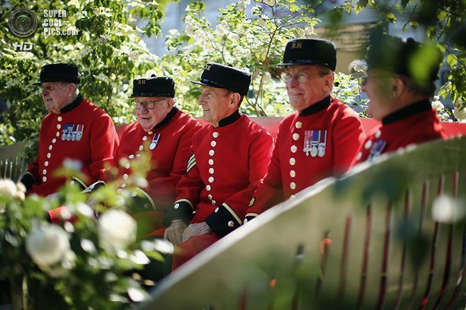 Выставка цветов и ландшафтного дизайна Chelsea Flower Show 2014