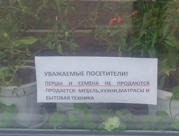 Крик души. Уморительные объявления и вывески, которые поднимут настроение любому
